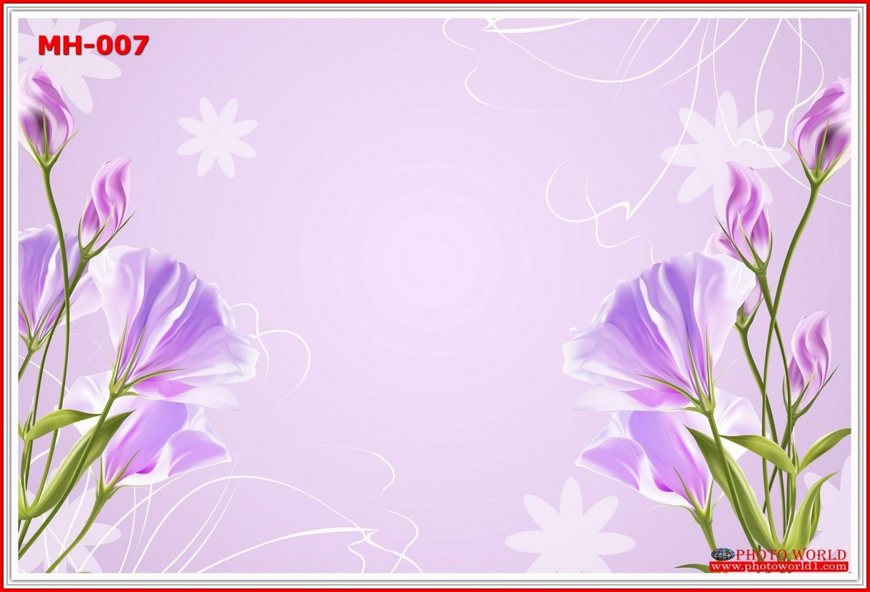 วอลเปเปอร์รูปภาพติดผนังสั่งทำ มีภาพให้เลือกกว่า 50,000 ภาพ ออกแบบกราฟฟิค หรือ รูปภาพตามที่ท่านกำหนด ในสไตล์ท่านเอง "custom made"