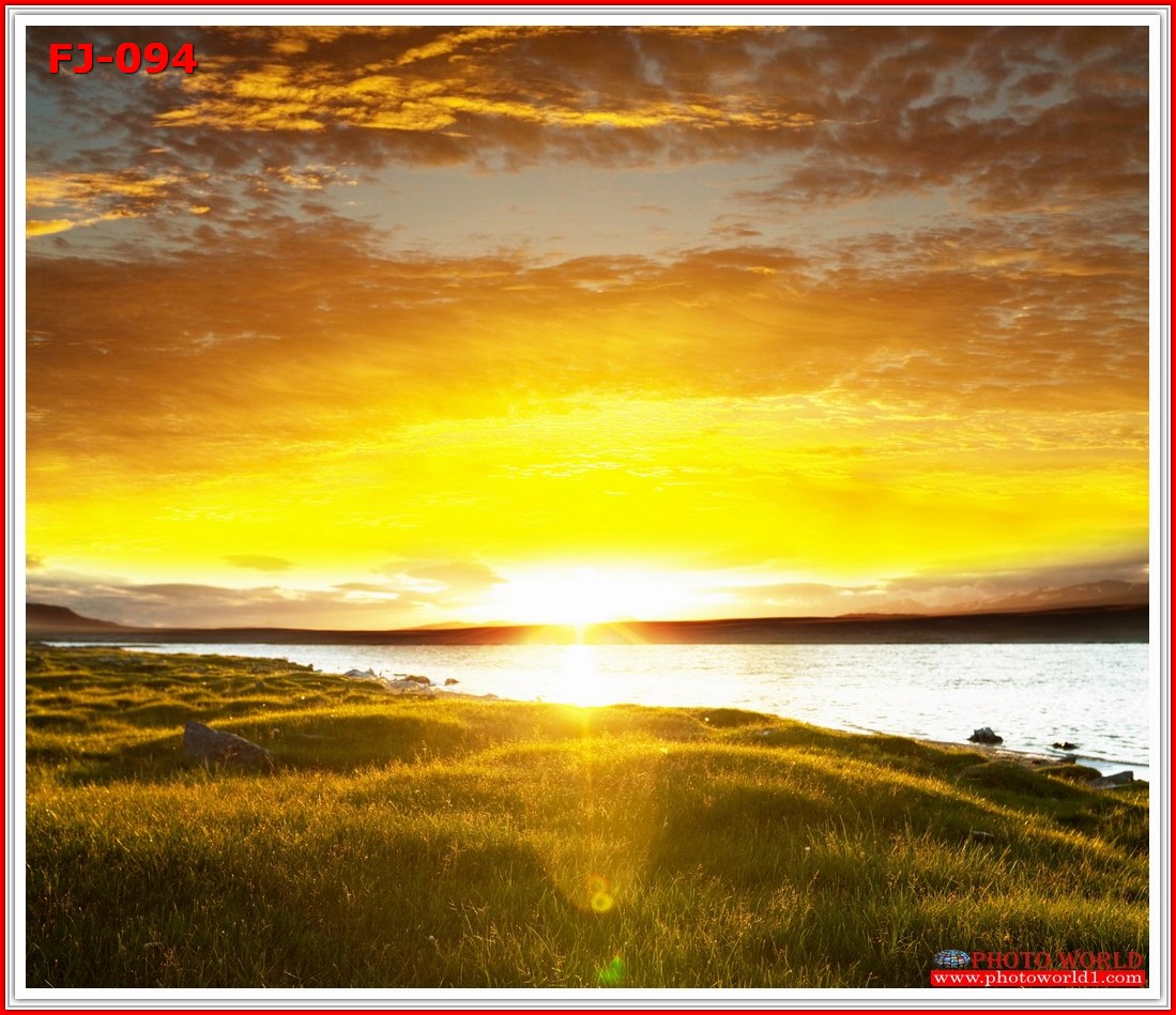 วอลเปเปอร์รูปภาพติดผนังสั่งทำ มีภาพให้เลือกกว่า 50,000 ภาพ ออกแบบกราฟฟิค หรือ รูปภาพตามที่ท่านกำหนด ในสไตล์ท่านเอง "custom made"