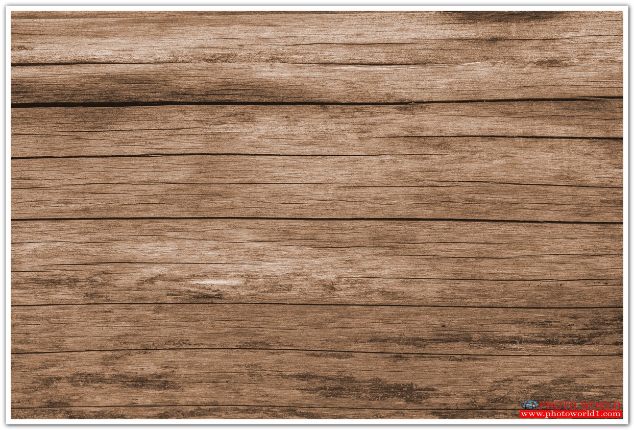 วอลเปเปอร์รูปภาพติดผนังสั่งทำ มีภาพให้เลือกกว่า 50,000 ภาพ ออกแบบกราฟฟิค หรือ รูปภาพตามที่ท่านกำหนด ในสไตล์ท่านเอง "custom made"