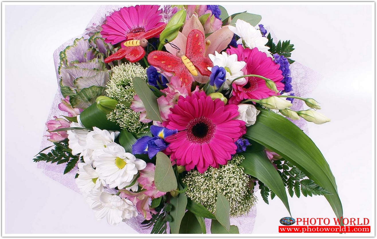 วอลเปเปอร์รูปภาพติดผนังสั่งทำ มีภาพให้เลือกกว่า 50,000 ภาพ ออกแบบกราฟฟิค หรือ รูปภาพตามที่ท่านกำหนด ในสไตล์ท่านเอง "custom made"