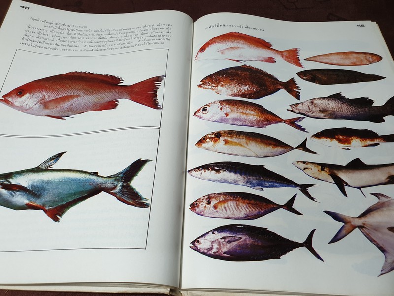 ตำรับสายเยาวภา ของ สายปัญญาสมาคม ปกแข็ง ปี 2523