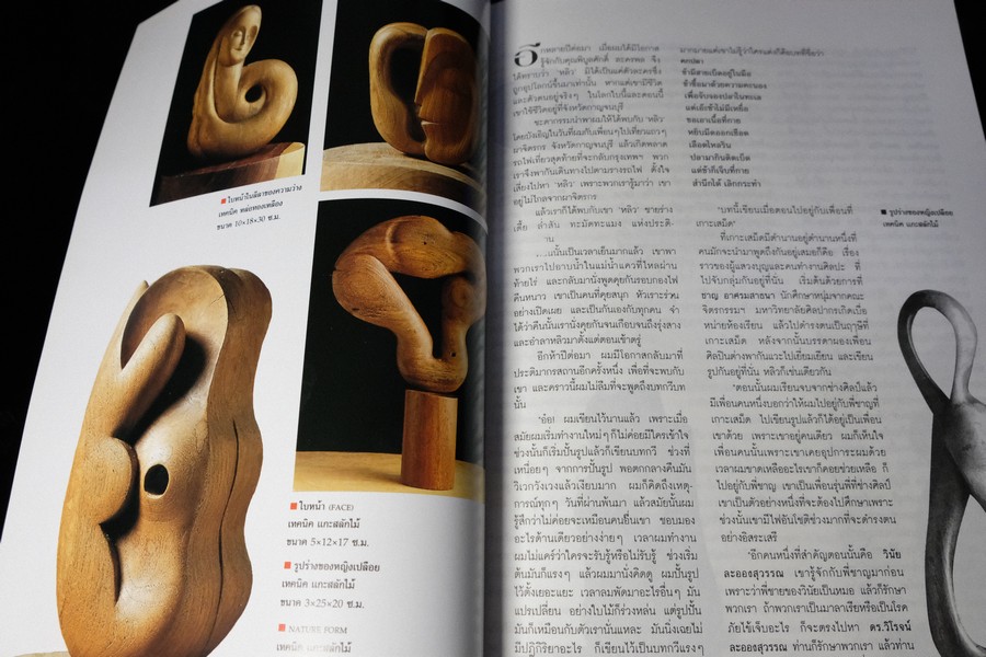 16 ศิลปินร่วมสมัยของไทย โดย นิตยสารไฮคลาส ปี 2538