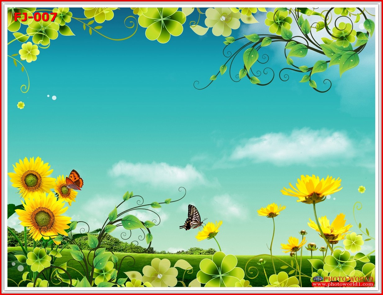 วอลเปเปอร์รูปภาพติดผนังสั่งทำ มีภาพให้เลือกกว่า 50,000 ภาพ ออกแบบกราฟฟิค หรือ รูปภาพตามที่ท่านกำหนด ในสไตล์ท่านเอง "custom made"