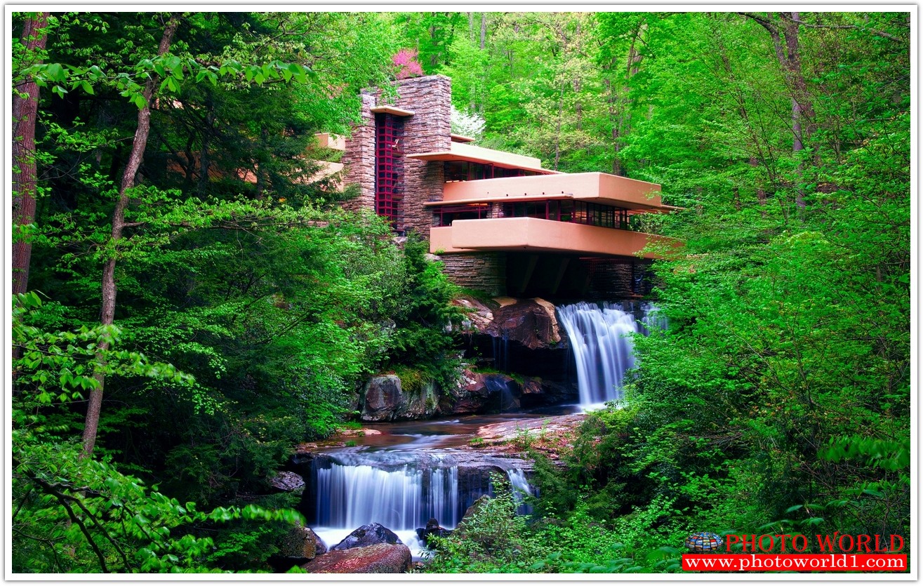 NATURAL วอลเปเปอร์รูปภาพติดผนังสั่งทำ มีภาพให้เลือกกว่า 50,000 ภาพ ออกแบบกราฟฟิค หรือ รูปภาพตามที่ท่านกำหนด ในสไตล์ท่านเอง "custom made"