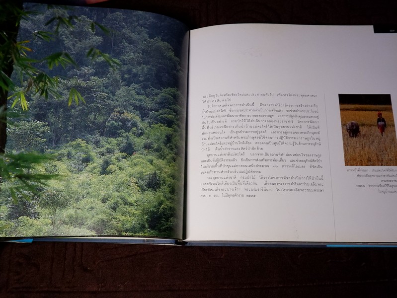 สมเด็จพระนางเจ้าสิริกิติ์ พระบรมราชินีนาถกับสิ่งเเวดล้อม