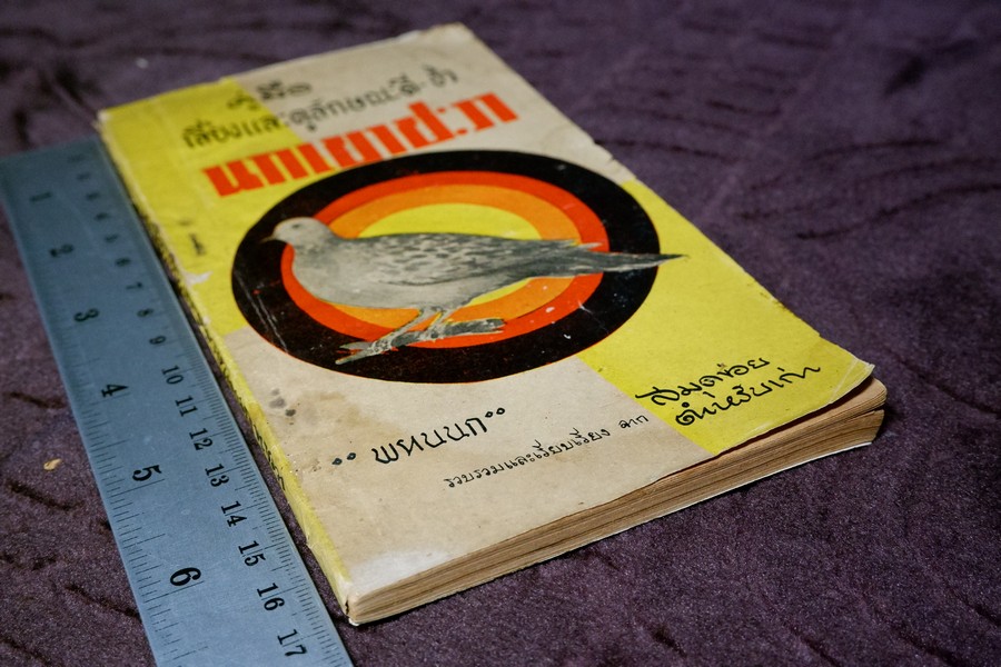 คู่มือเลี้ยงเเละดูลักษณะ นกเขาชะวา โดย พรานนก ปี 2504