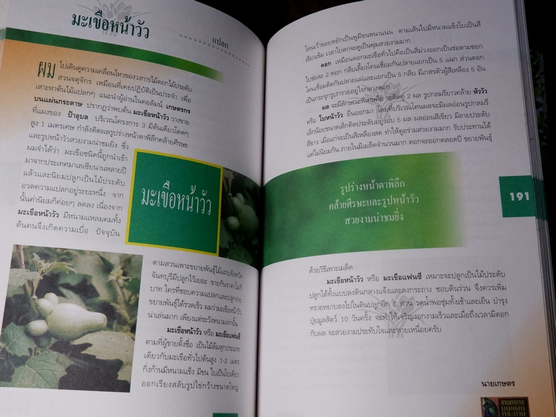 สมุนไพร ไม้ประดับหายาก เล่ม 2 โดย นายเกษตร ปกเเข็ง