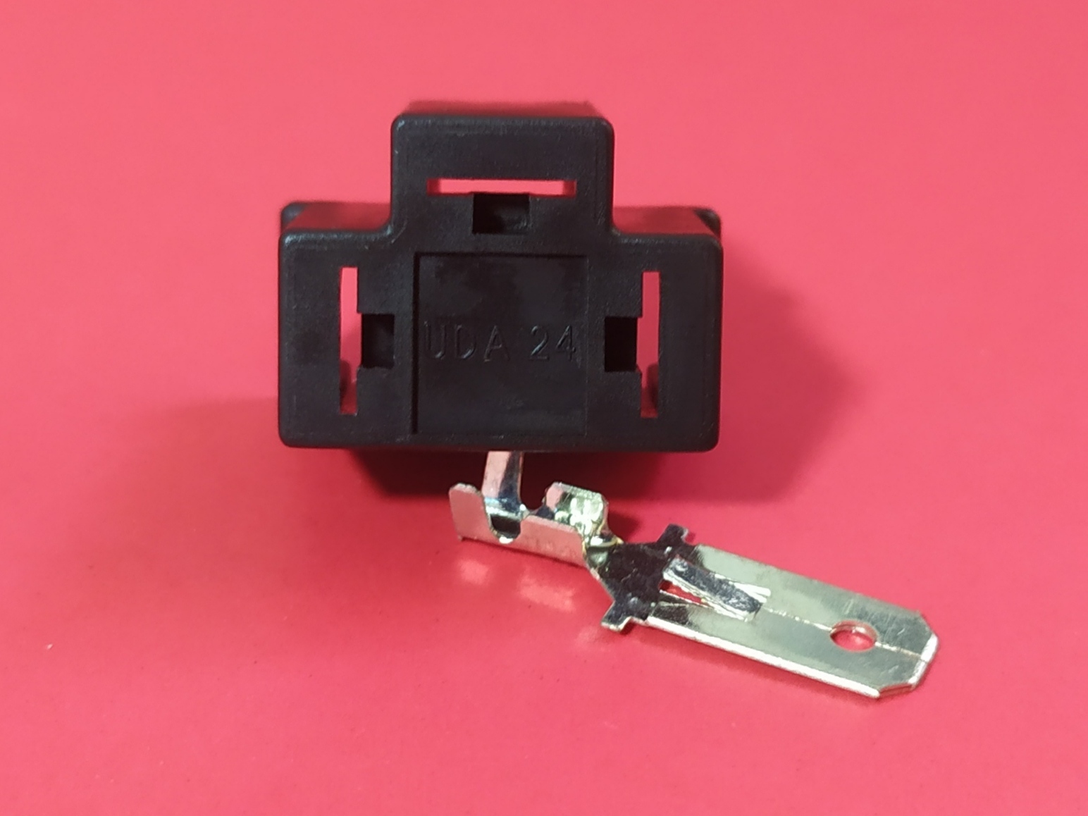 H4 ตัวผู้ (พินทอง)