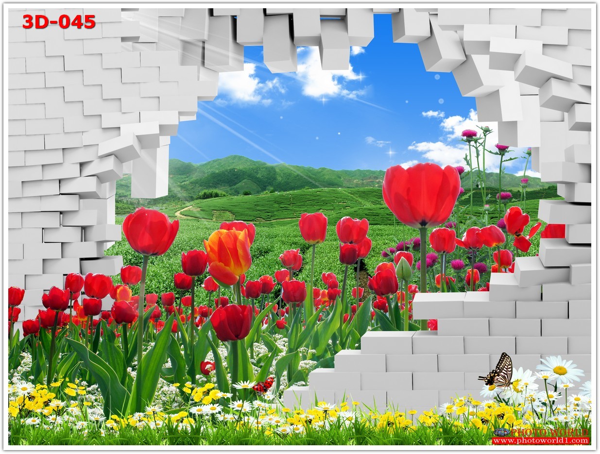 วอลเปเปอร์รูปภาพติดผนังสั่งทำ มีภาพให้เลือกกว่า 50,000 ภาพ ออกแบบกราฟฟิค หรือ รูปภาพตามที่ท่านกำหนด ในสไตล์ท่านเอง "custom made"