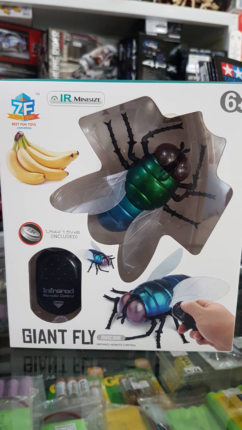 แมลงวันหัวเขียวบังคับ (Giant Fly)