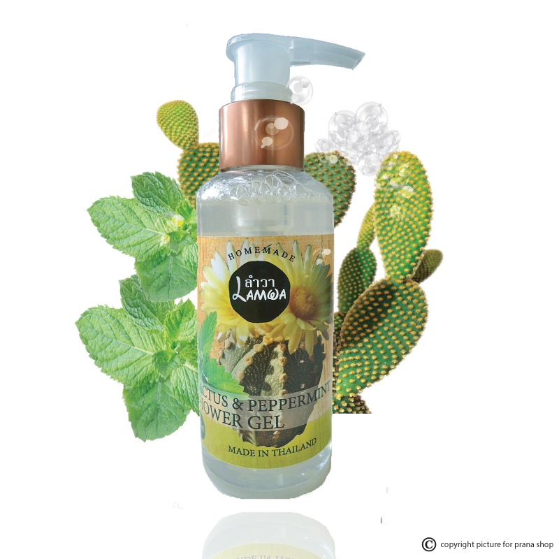 [สูตรลดเม็ดผดผื่นคัน สิวบริเวณหลัง] CACTUS & PEPPERMINT Shower Gel เจลอาบน้ำ ตะบองเพชร-เปปเปอร์มินต์ 150ml