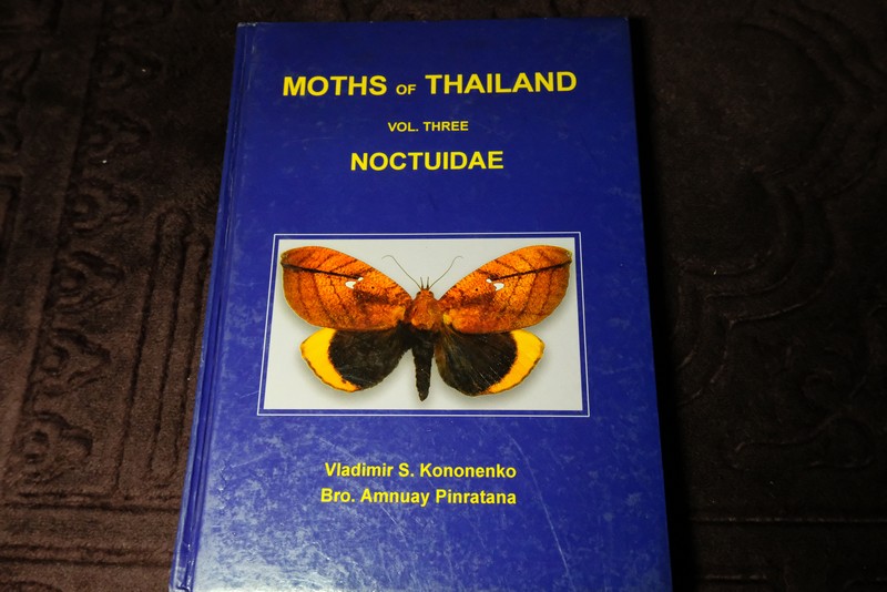 moths of thailand vol.3 noctuidae by vladimir s.kononenko and amnuay pinratana