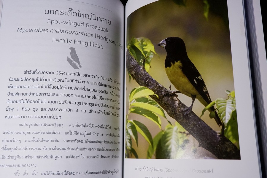 นกไทย ในบันทึกเเละความทรงจำ โดย สุธี ศุภรัฐวิกร พิมพ์ 1000 เล่ม ปี 2558 (มีตำหนิ)