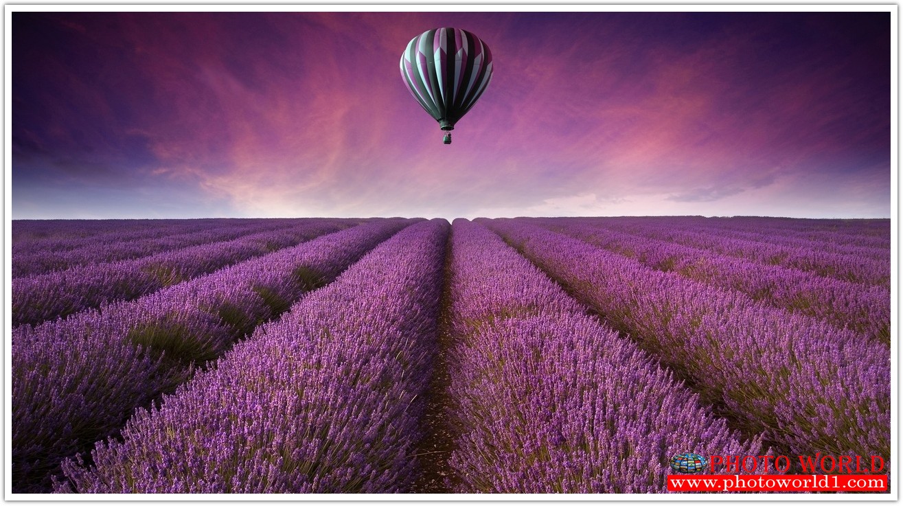 NATURAL วอลเปเปอร์รูปภาพติดผนังสั่งทำ มีภาพให้เลือกกว่า 50,000 ภาพ ออกแบบกราฟฟิค หรือ รูปภาพตามที่ท่านกำหนด ในสไตล์ท่านเอง "custom made"