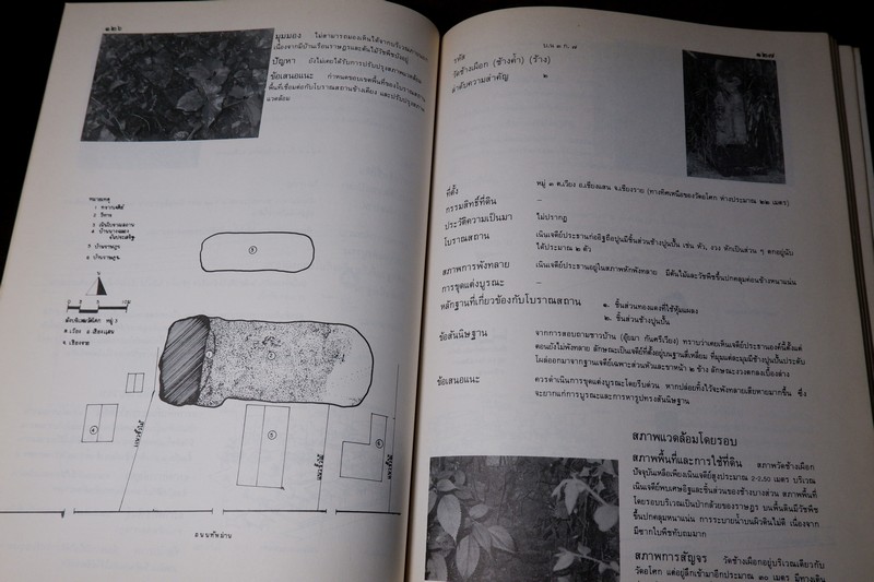 เมืองเจียงเเสน รายงานสำรวจโบราณสถาน โดย กรมศิลปากร หนา 227 หน้า ปี 2530