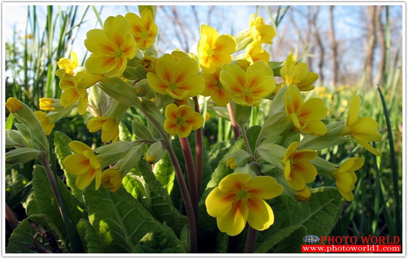 วอลเปเปอร์รูปภาพติดผนังสั่งทำ มีภาพให้เลือกกว่า 50,000 ภาพ ออกแบบกราฟฟิค หรือ รูปภาพตามที่ท่านกำหนด ในสไตล์ท่านเอง "custom made"