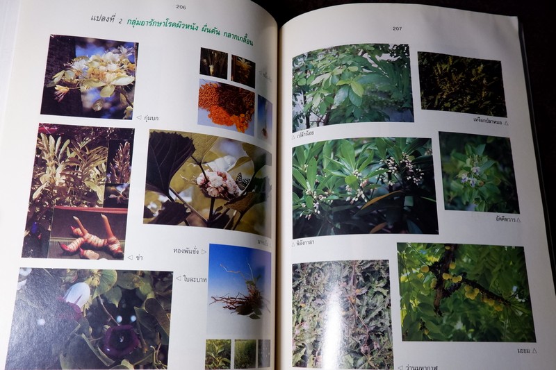 สรรพคุณสมุนไพร 200 ชนิด โดย สุนทรี สิงหบุตรา หนา 260 หน้า ปี 2535