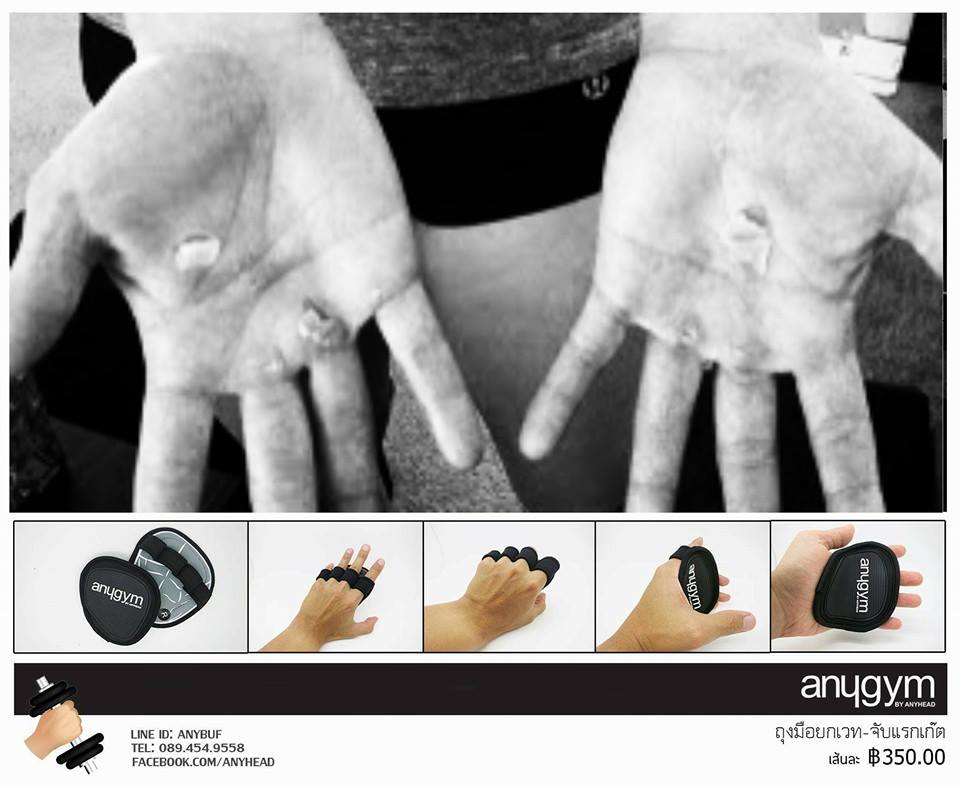ถุงมือฟิตเนส แบบแผ่นรอง | anygym
