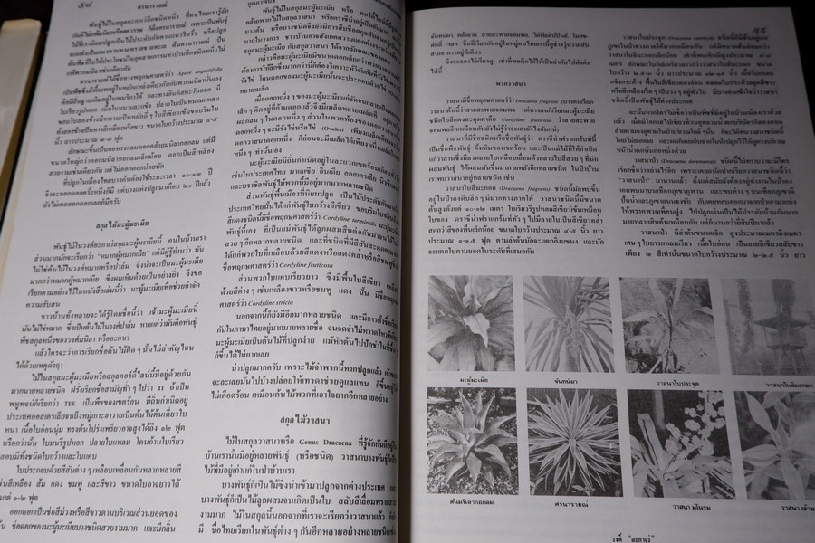 ดอกไม้เเละประวัติไม้ดอกเมืองไทย โดย วิชัย อภัยสุวรรณ ปกแข็ง ปี 2532