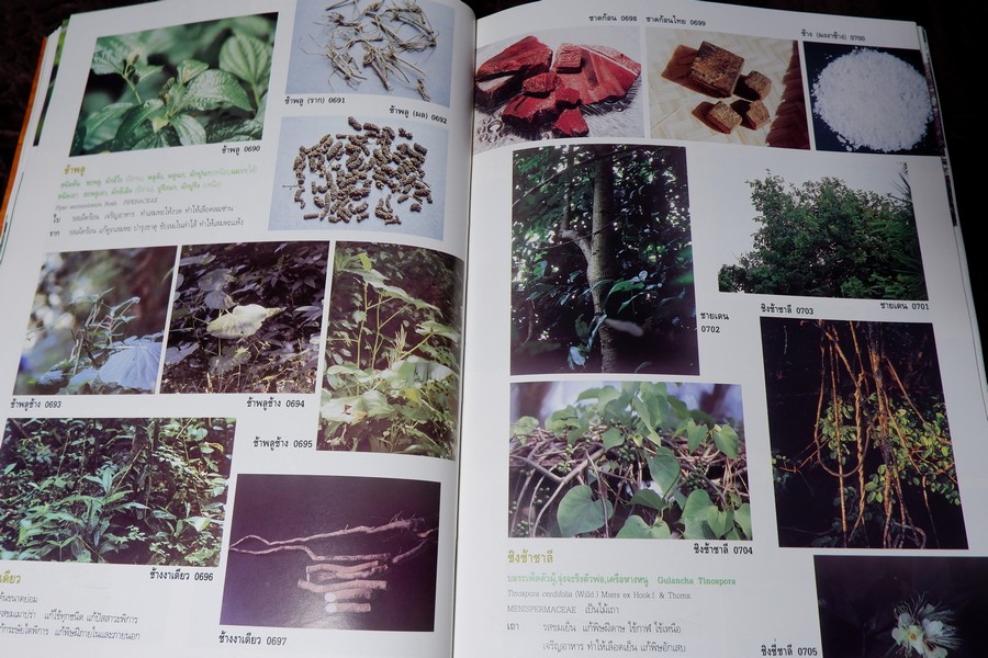 สารานุกรมเครื่องยาไทย 1 โดย วุฒิ วุฒิธรรมเวช ปกแข็ง ปี 2543