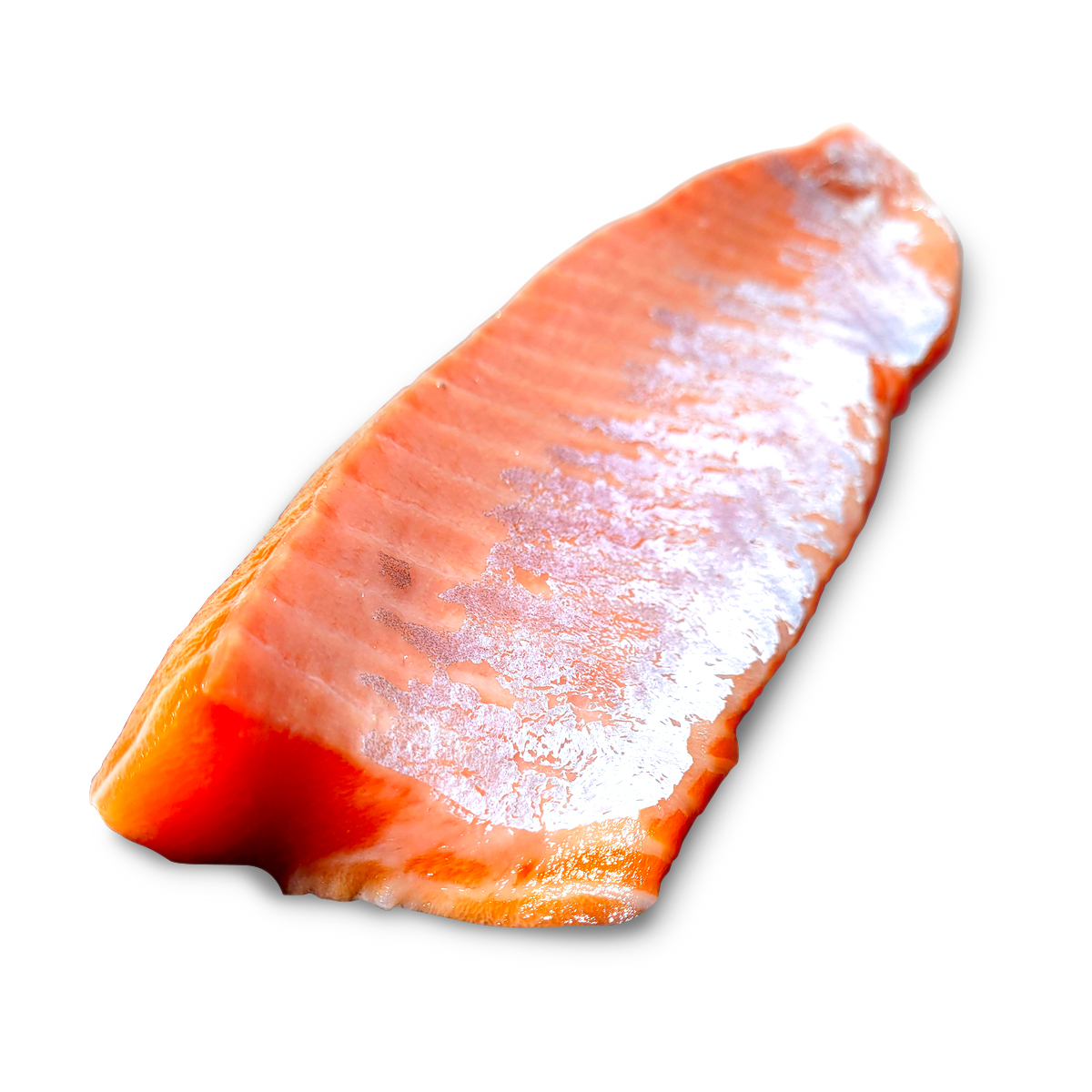 แซลมอนส่วนท้อง / Salmon Toro
