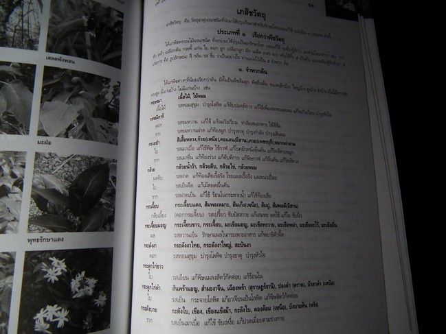 คัมภีร์เภสัชรัตนโกสินทร์ โดย วุฒิ วุฒิธรรมเวช ปกแข็ง พิมพ์ 1000 เล่ม ปี 2547