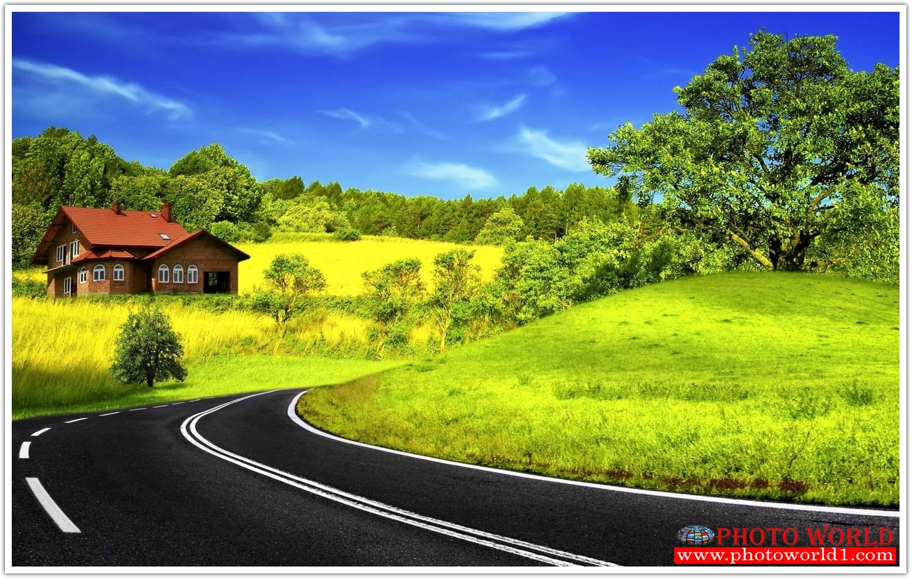 NATURAL วอลเปเปอร์รูปภาพติดผนังสั่งทำ มีภาพให้เลือกกว่า 50,000 ภาพ ออกแบบกราฟฟิค หรือ รูปภาพตามที่ท่านกำหนด ในสไตล์ท่านเอง "custom made"