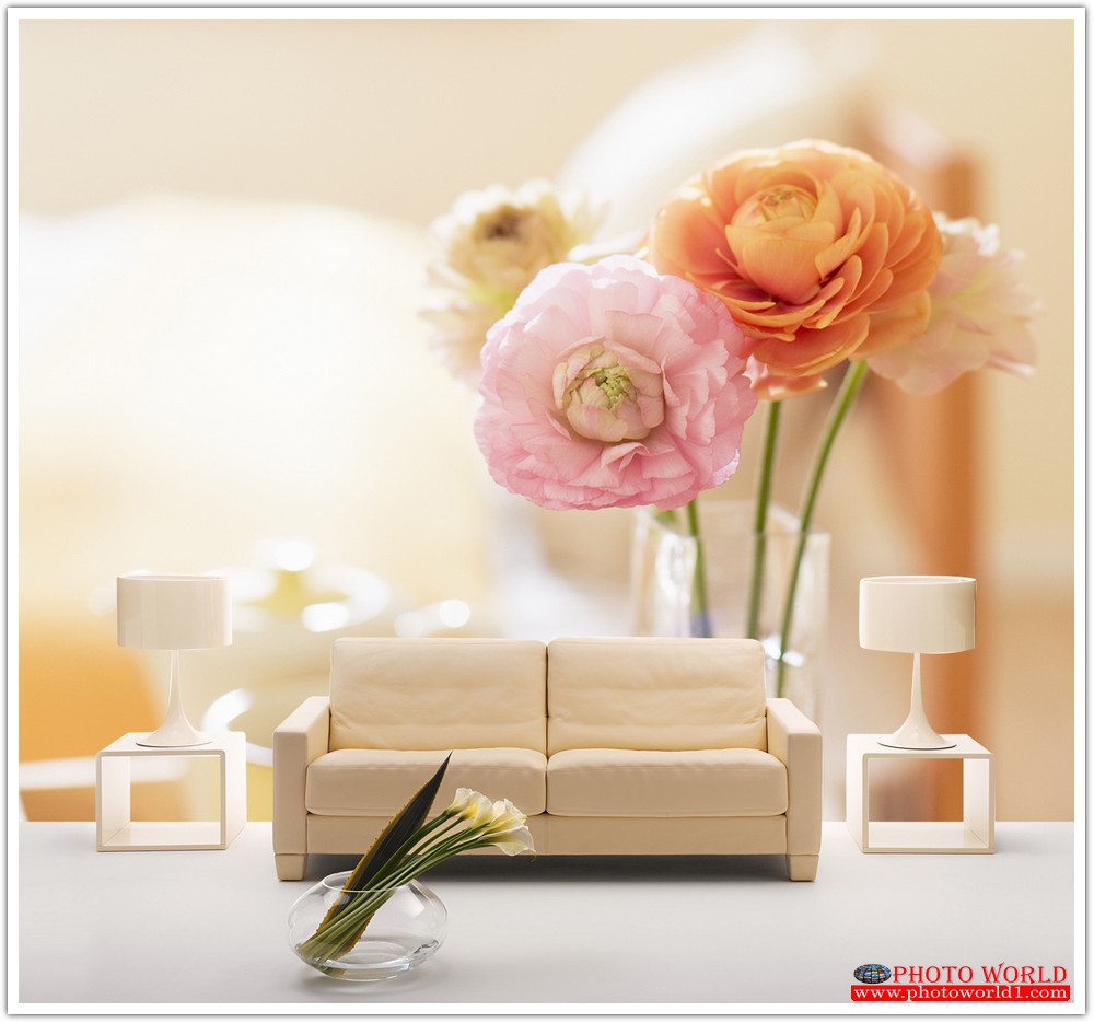 วอลเปเปอร์รูปภาพติดผนังสั่งทำ มีภาพให้เลือกกว่า 50,000 ภาพ ออกแบบกราฟฟิค หรือ รูปภาพตามที่ท่านกำหนด ในสไตล์ท่านเอง "custom made"