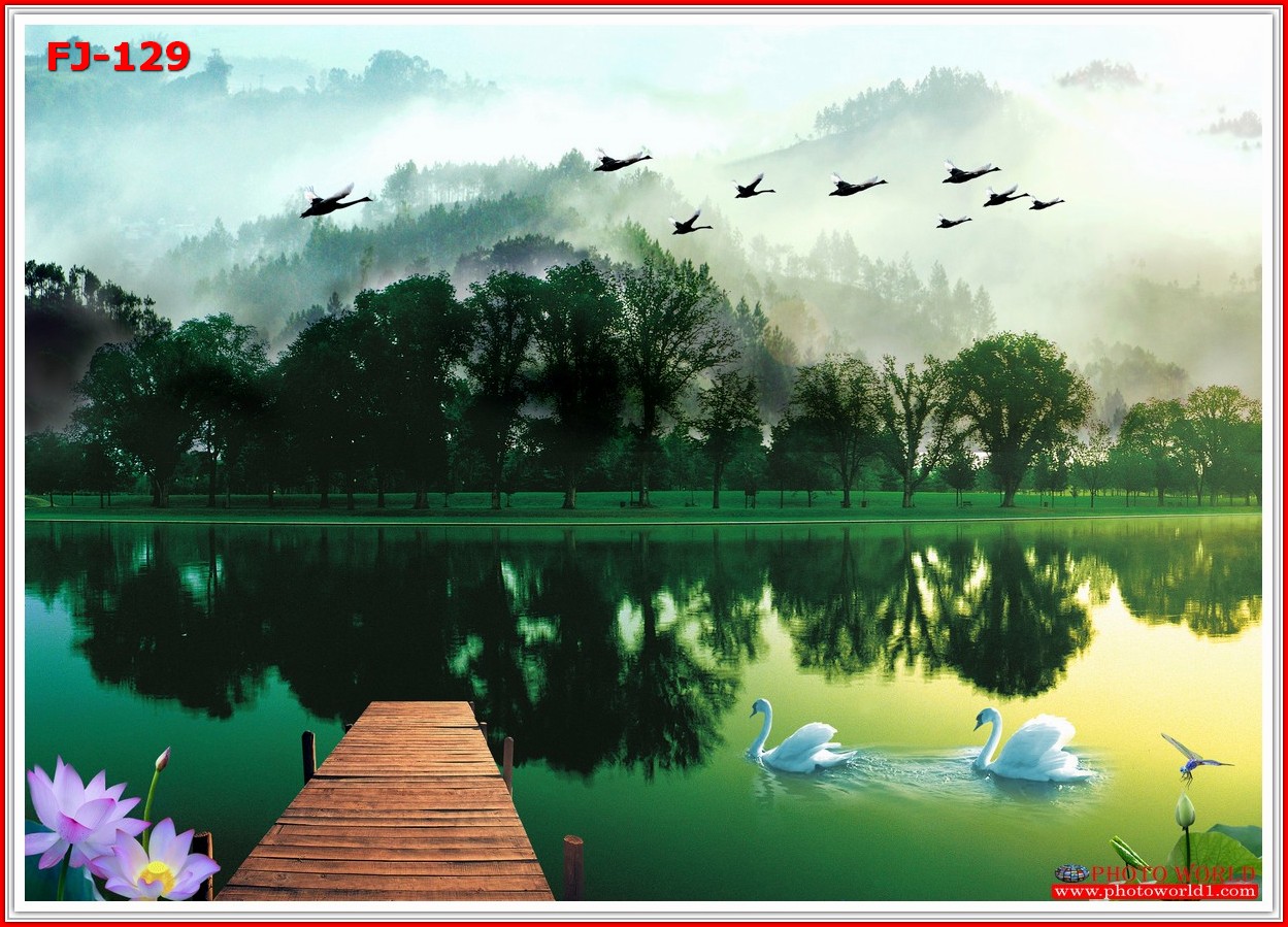 วอลเปเปอร์รูปภาพติดผนังสั่งทำ มีภาพให้เลือกกว่า 50,000 ภาพ ออกแบบกราฟฟิค หรือ รูปภาพตามที่ท่านกำหนด ในสไตล์ท่านเอง "custom made"