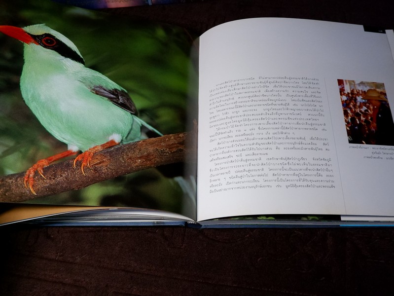 สมเด็จพระนางเจ้าสิริกิติ์ พระบรมราชินีนาถกับสิ่งเเวดล้อม