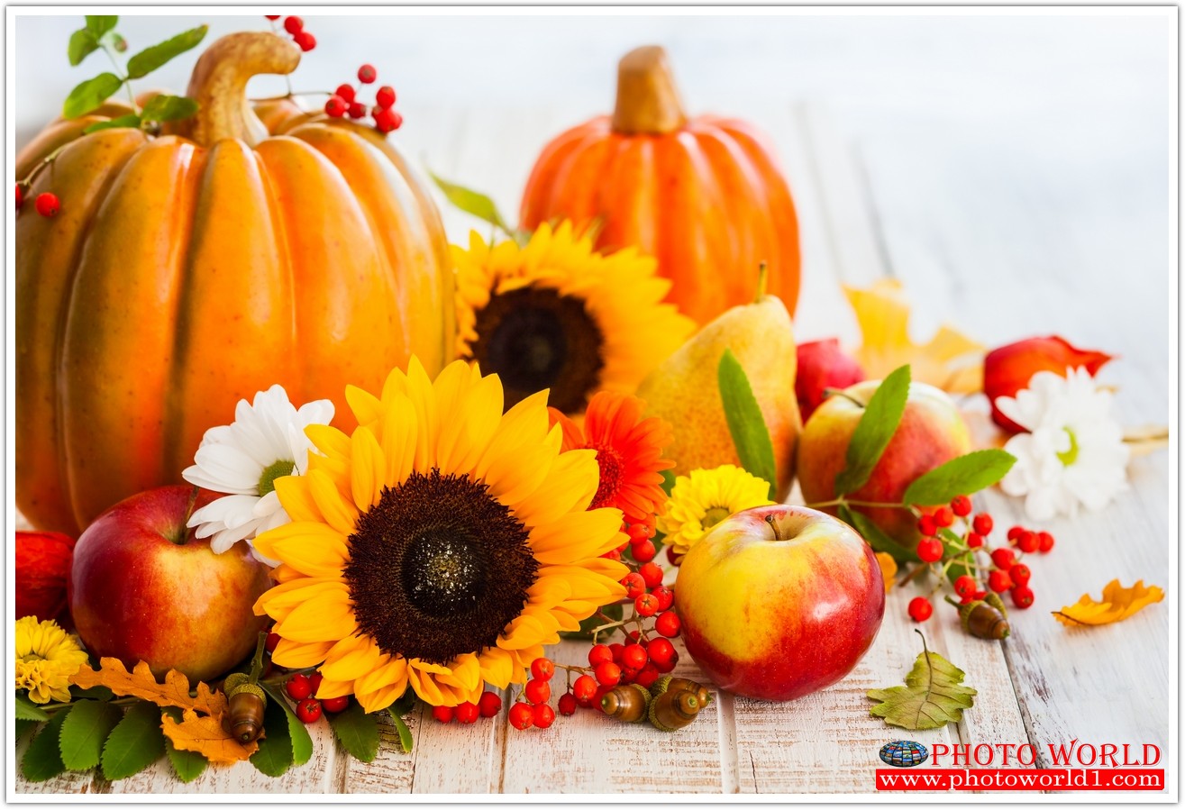 วอลเปเปอร์รูปภาพติดผนังสั่งทำ มีภาพให้เลือกกว่า 50,000 ภาพ ออกแบบกราฟฟิค หรือ รูปภาพตามที่ท่านกำหนด ในสไตล์ท่านเอง "custom made"