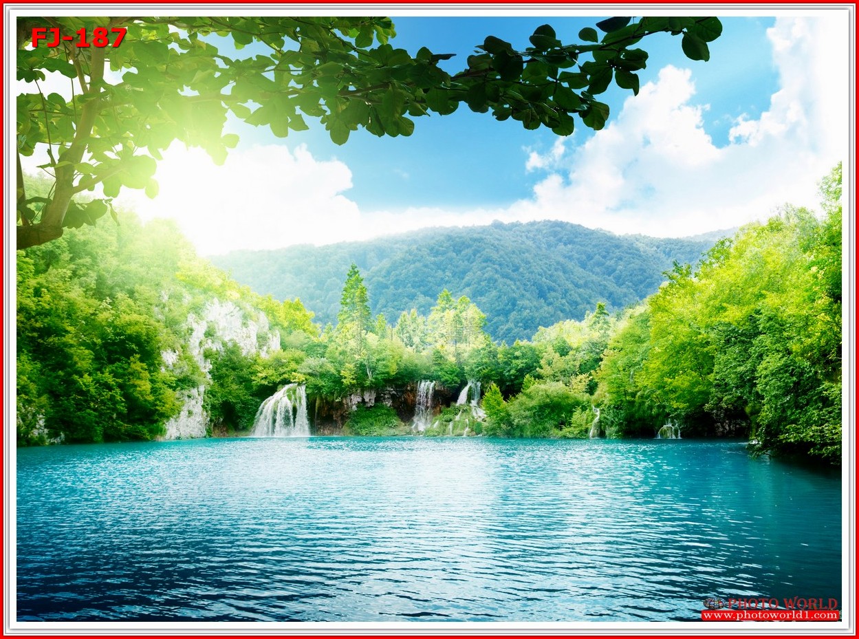 วอลเปเปอร์รูปภาพติดผนังสั่งทำ มีภาพให้เลือกกว่า 50,000 ภาพ ออกแบบกราฟฟิค หรือ รูปภาพตามที่ท่านกำหนด ในสไตล์ท่านเอง "custom made"