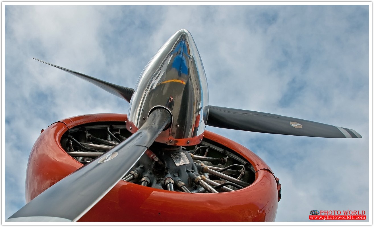 วอลเปเปอร์รูปภาพติดผนังสั่งทำ มีภาพให้เลือกกว่า 50,000 ภาพ ออกแบบกราฟฟิค หรือ รูปภาพตามที่ท่านกำหนด ในสไตล์ท่านเอง "custom made"