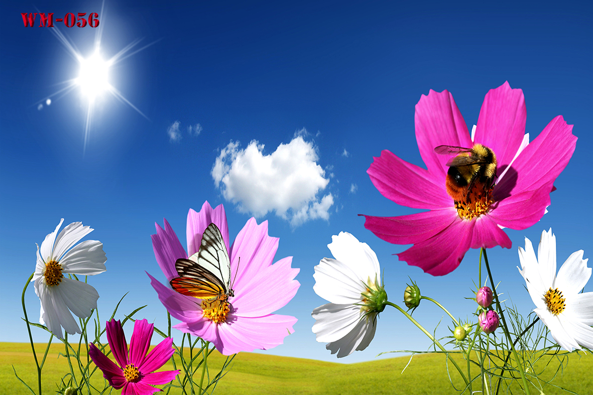 วอลเปเปอร์รูปภาพติดผนังสั่งทำ มีภาพให้เลือกกว่า 50,000 ภาพ ออกแบบกราฟฟิค หรือ รูปภาพตามที่ท่านกำหนด ในสไตล์ท่านเอง "custom made"