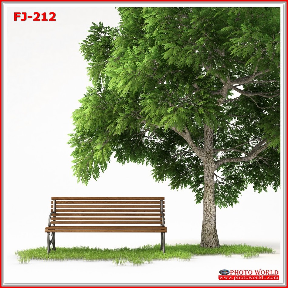 วอลเปเปอร์รูปภาพติดผนังสั่งทำ มีภาพให้เลือกกว่า 50,000 ภาพ ออกแบบกราฟฟิค หรือ รูปภาพตามที่ท่านกำหนด ในสไตล์ท่านเอง "custom made"