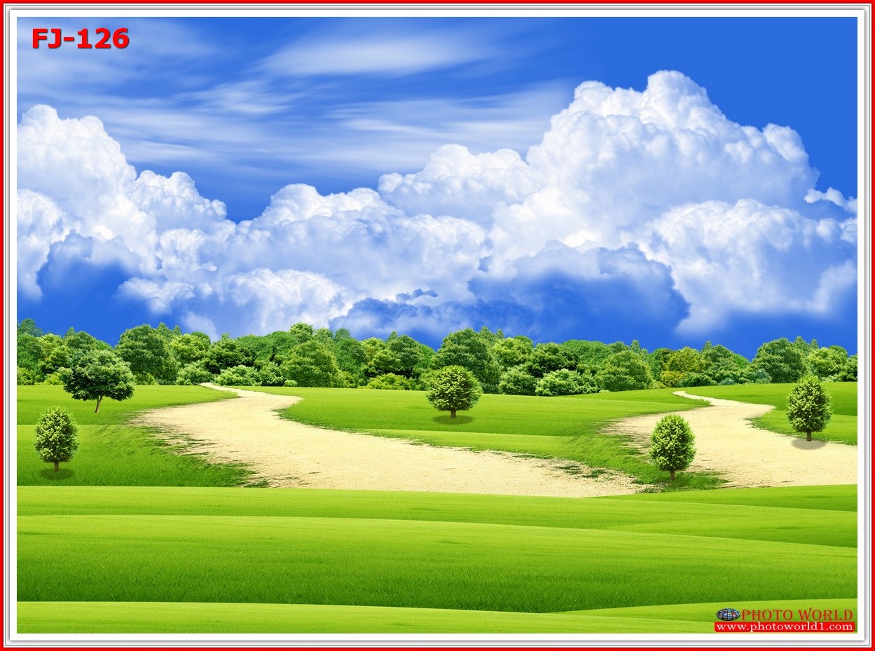 วอลเปเปอร์รูปภาพติดผนังสั่งทำ มีภาพให้เลือกกว่า 50,000 ภาพ ออกแบบกราฟฟิค หรือ รูปภาพตามที่ท่านกำหนด ในสไตล์ท่านเอง "custom made"