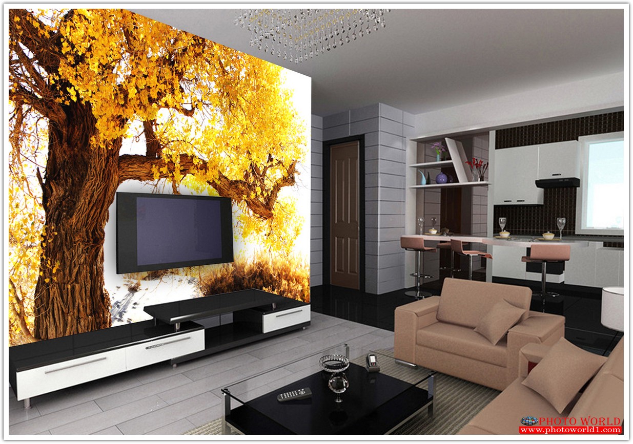 วอลเปเปอร์รูปภาพติดผนังสั่งทำ มีภาพให้เลือกกว่า 50,000 ภาพ ออกแบบกราฟฟิค หรือ รูปภาพตามที่ท่านกำหนด ในสไตล์ท่านเอง "custom made"