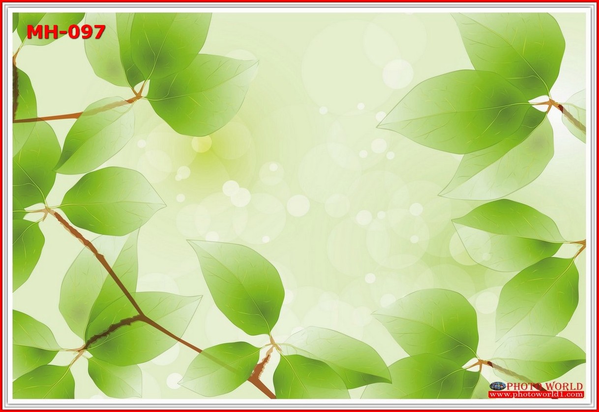 วอลเปเปอร์รูปภาพติดผนังสั่งทำ มีภาพให้เลือกกว่า 50,000 ภาพ ออกแบบกราฟฟิค หรือ รูปภาพตามที่ท่านกำหนด ในสไตล์ท่านเอง "custom made"