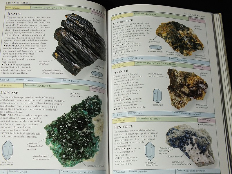 DORLING KINDERSLEY HANDBOOKS OF ROCK AND MINERAL 256 หน้า ปี 1992