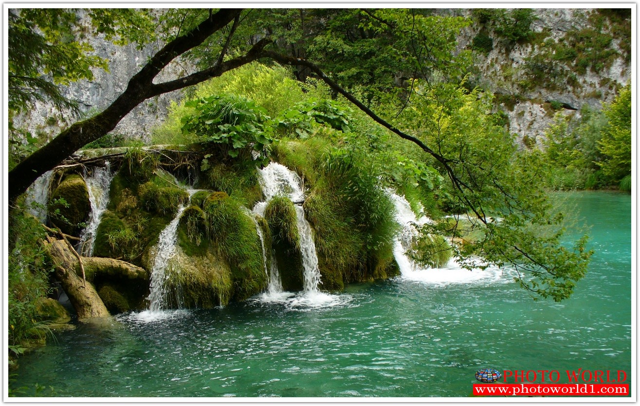 NATURAL วอลเปเปอร์รูปภาพติดผนังสั่งทำ มีภาพให้เลือกกว่า 50,000 ภาพ ออกแบบกราฟฟิค หรือ รูปภาพตามที่ท่านกำหนด ในสไตล์ท่านเอง "custom made"