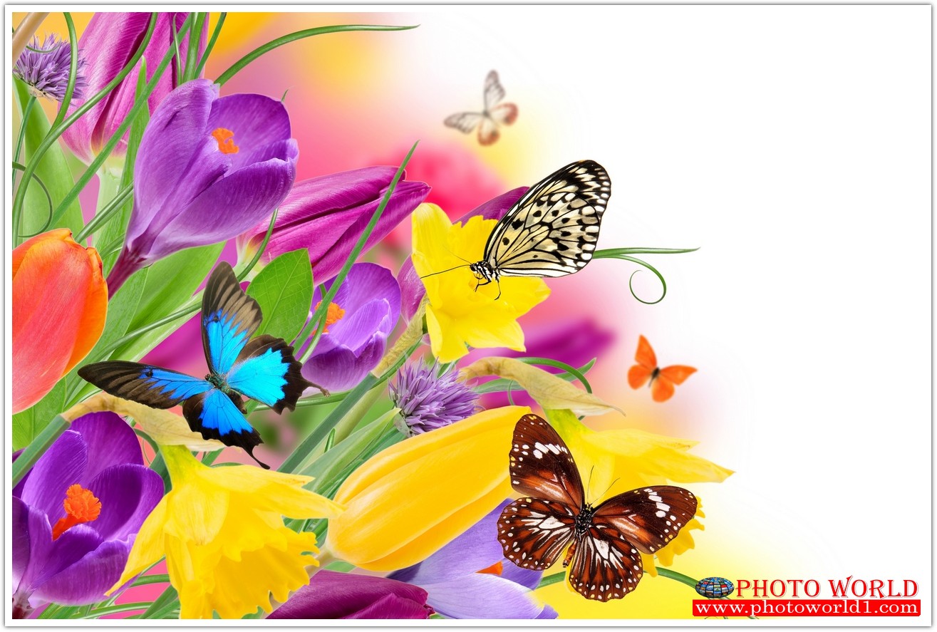 วอลเปเปอร์รูปภาพติดผนังสั่งทำ มีภาพให้เลือกกว่า 50,000 ภาพ ออกแบบกราฟฟิค หรือ รูปภาพตามที่ท่านกำหนด ในสไตล์ท่านเอง "custom made"