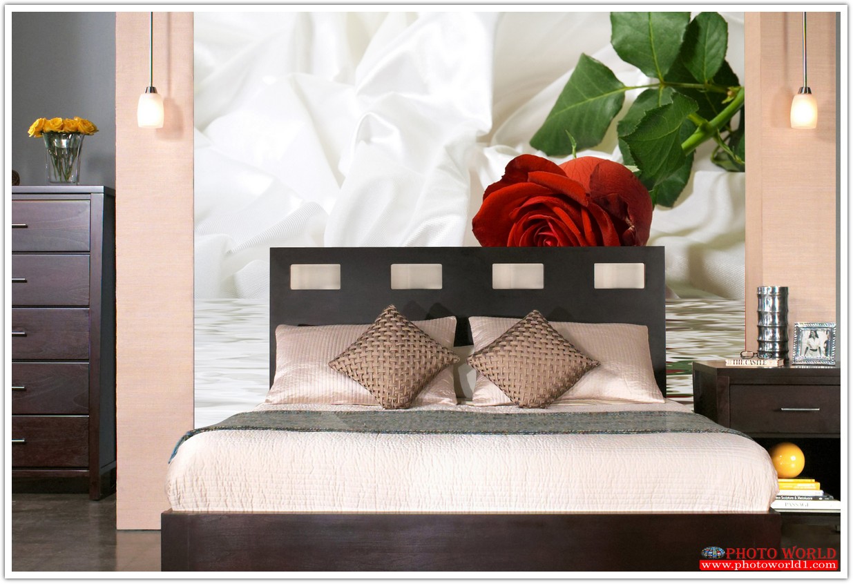 วอลเปเปอร์รูปภาพติดผนังสั่งทำ มีภาพให้เลือกกว่า 50,000 ภาพ ออกแบบกราฟฟิค หรือ รูปภาพตามที่ท่านกำหนด ในสไตล์ท่านเอง "custom made"