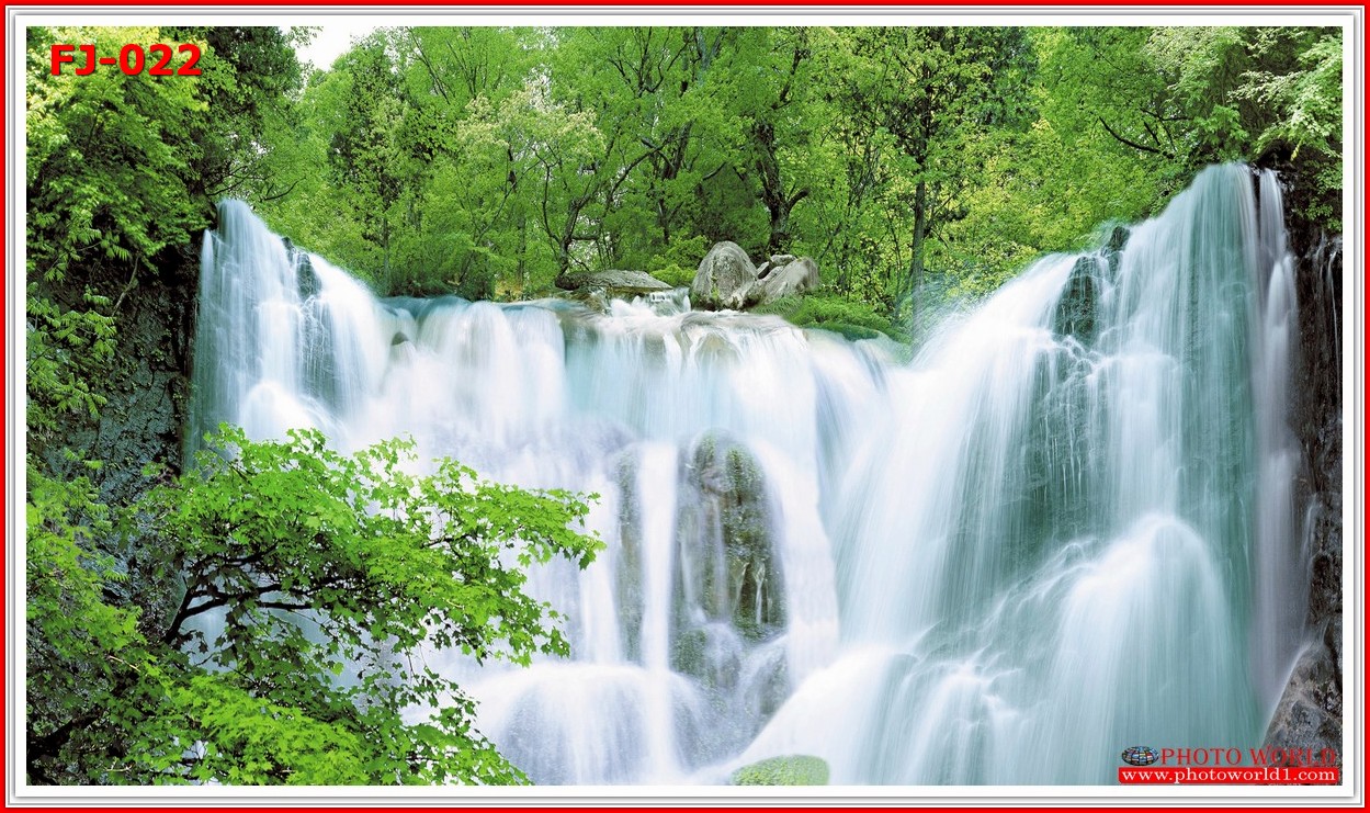 วอลเปเปอร์รูปภาพติดผนังสั่งทำ มีภาพให้เลือกกว่า 50,000 ภาพ ออกแบบกราฟฟิค หรือ รูปภาพตามที่ท่านกำหนด ในสไตล์ท่านเอง "custom made"