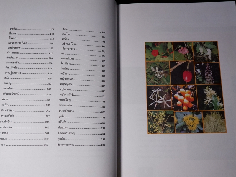 สมุนไพร ไม้ประดับหายาก เล่ม 2 โดย นายเกษตร ปกเเข็ง