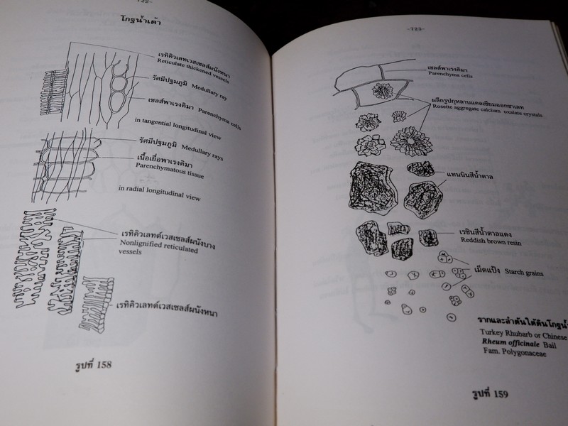 การตรวจเอกลักษณ์พืชสมุนไพร ภาคพิเศษ โดย สถาบันการเเพทย์ไทย เเละ คณะเภสัช ม.เชียงใหม่