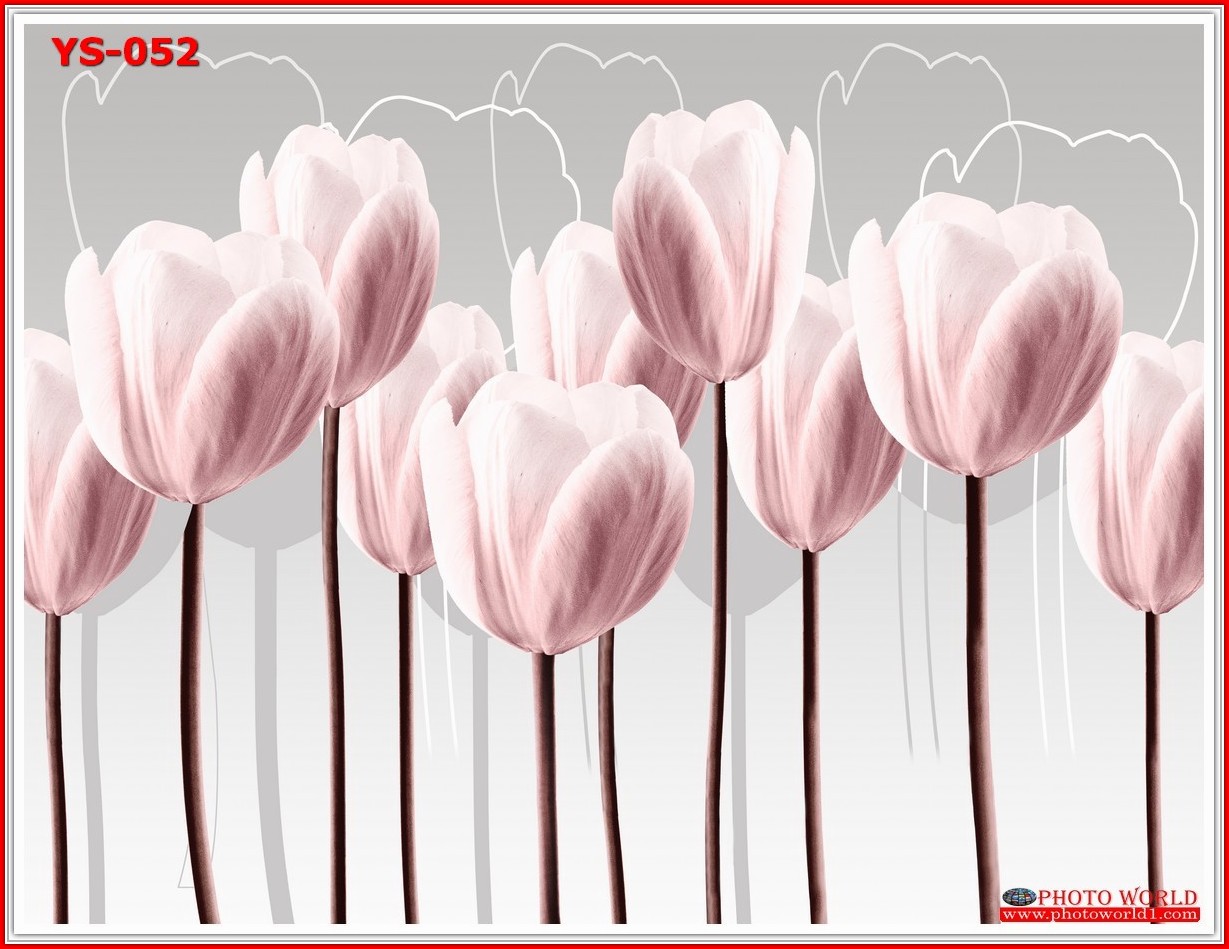 วอลเปเปอร์รูปภาพติดผนังสั่งทำ มีภาพให้เลือกกว่า 50,000 ภาพ ออกแบบกราฟฟิค หรือ รูปภาพตามที่ท่านกำหนด ในสไตล์ท่านเอง "custom made"