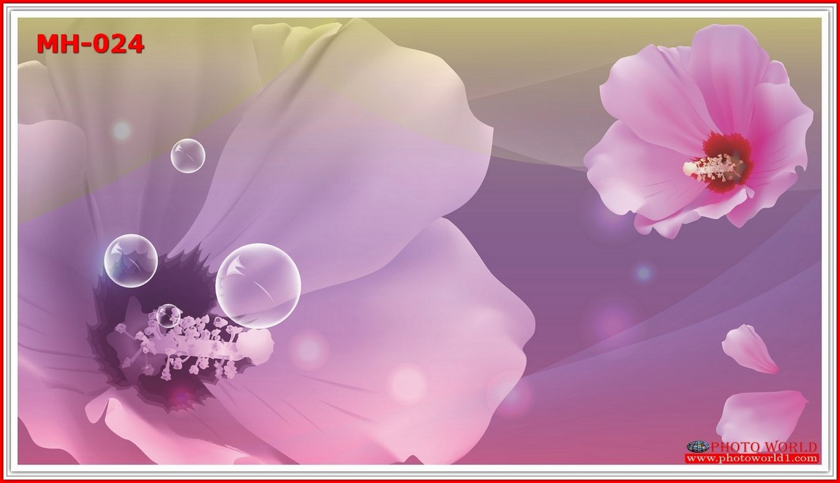 วอลเปเปอร์รูปภาพติดผนังสั่งทำ มีภาพให้เลือกกว่า 50,000 ภาพ ออกแบบกราฟฟิค หรือ รูปภาพตามที่ท่านกำหนด ในสไตล์ท่านเอง "custom made"