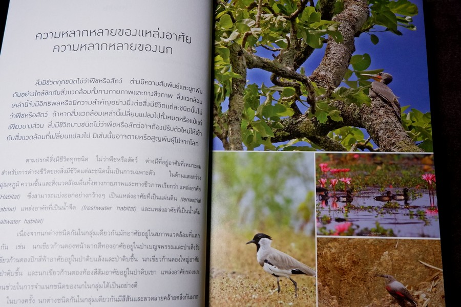นกไทย ในบันทึกเเละความทรงจำ โดย สุธี ศุภรัฐวิกร พิมพ์ 1000 เล่ม ปี 2558 (มีตำหนิ)
