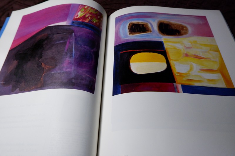 การเดินทางของสีสรรค์ ปรีชา อรชุนกะ ปี 2539