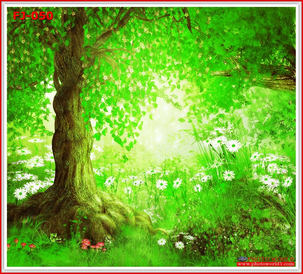 วอลเปเปอร์รูปภาพติดผนังสั่งทำ มีภาพให้เลือกกว่า 50,000 ภาพ ออกแบบกราฟฟิค หรือ รูปภาพตามที่ท่านกำหนด ในสไตล์ท่านเอง "custom made"